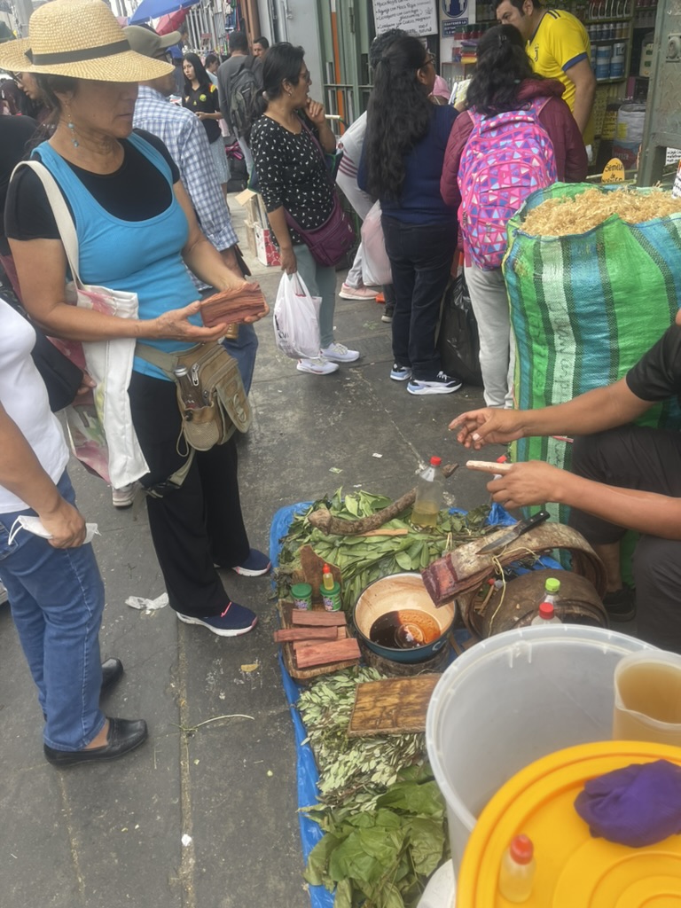 amazon plant medicine Peru Sara botanical tradition