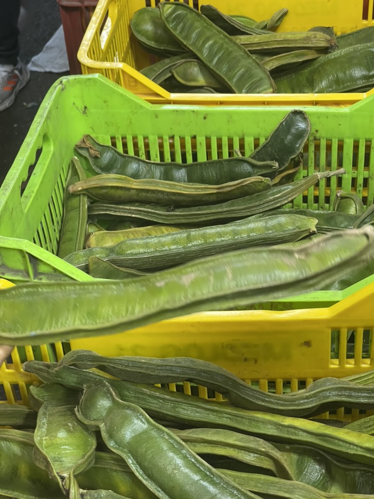 amazon plant medicine for skin Peru jungle plants medicinal tradition